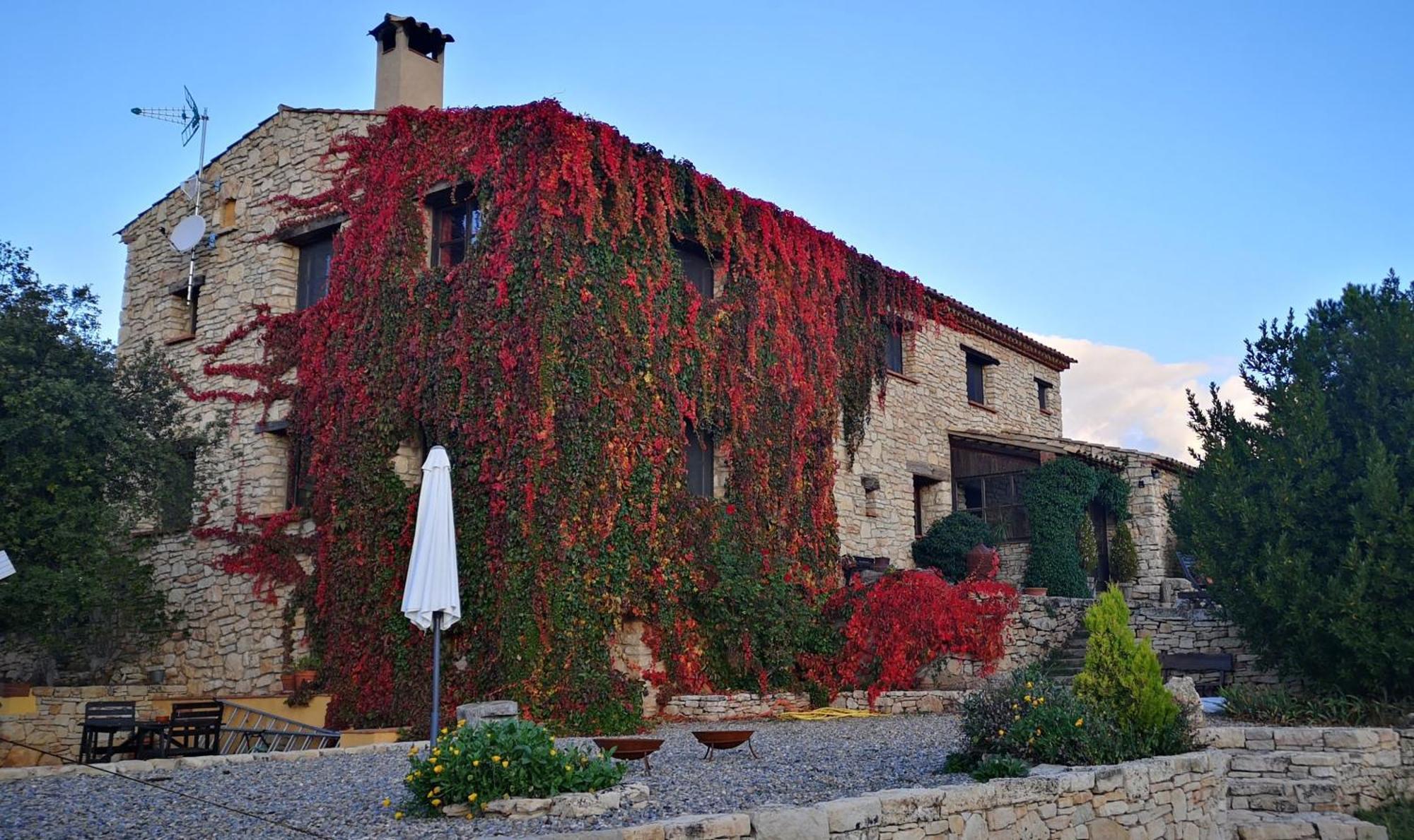 Mas De L'Arlequi Guest House Rojals Exterior photo